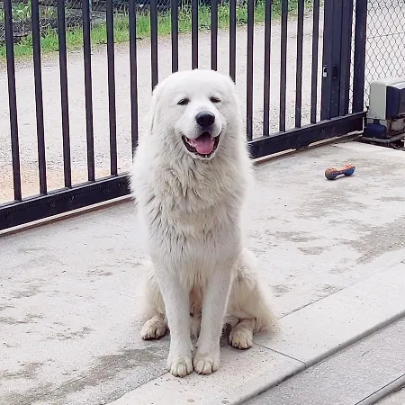 Gfhome Гостевой дом Казале-суль-Силе